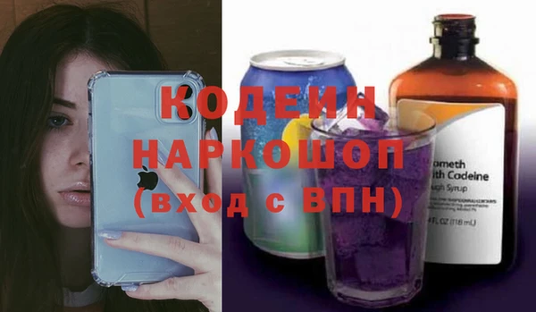 гашик Осинники