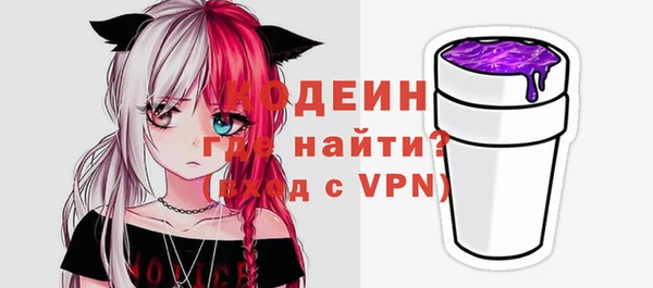 гашик Осинники